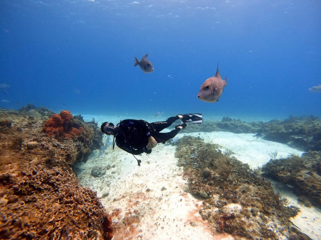 Cozumel diving