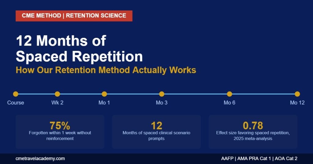 12 months of spaced repetition retention method timeline graphic