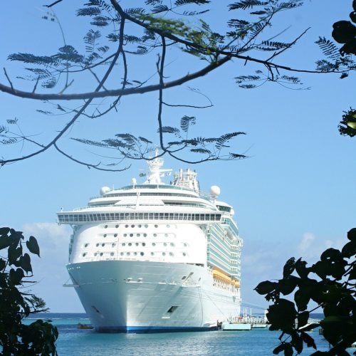 Cruise CME conference